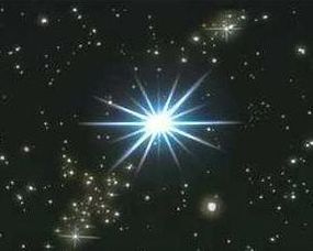 伯利恒之星，伯利恒之星花语