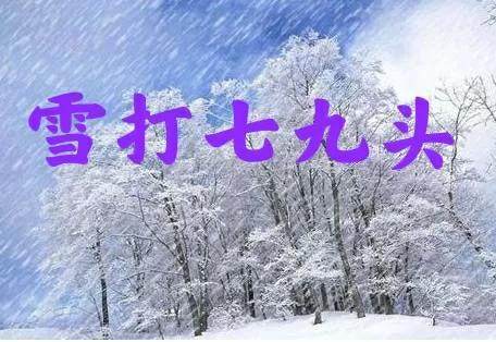 七九天，七九天是什么意思