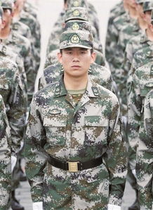 林地迷彩，林地迷彩服图片