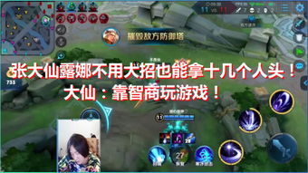 游戏十三张,游戏十三张怎么玩