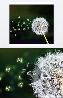 飘花网下载的电影要用那个播放器可以看