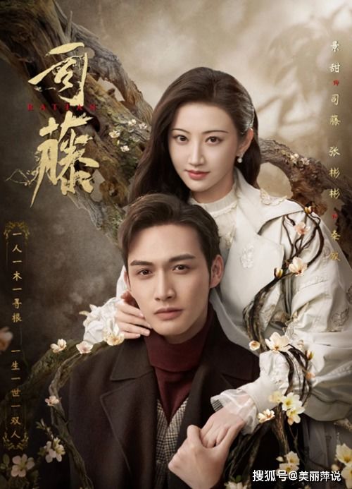 司藤身份