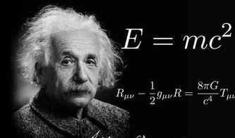 einstein是什么意思啊