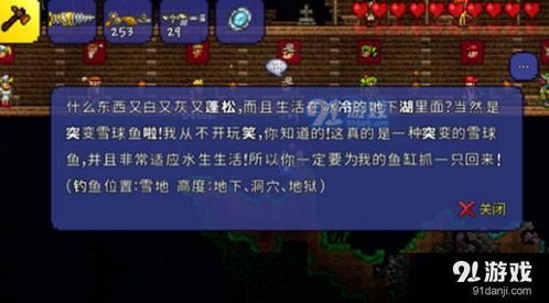 泰拉瑞亚地下苔原在哪
