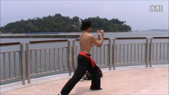 铁线拳，铁线拳赵志凌