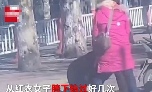 钻了女生的胯怎么办啊?是不是一辈子都臣服在她的胯下啊?