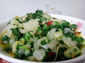 藤菜又叫什么菜