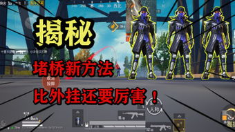 新精英，新精英生涯官网
