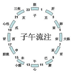 十二个时辰分别是几点到几点