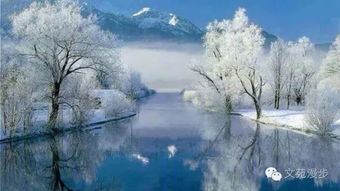 雪兆丰年