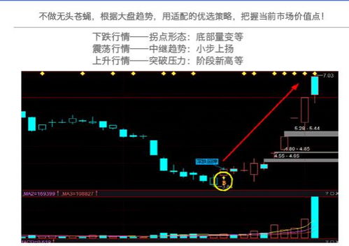 股票软件，股票软件官方免费下载