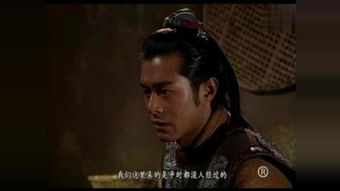 寻秦记国语