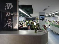 金山西山居，金山西山居游戏公司怎么样