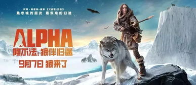 少狼怎么变成阿尔法狼