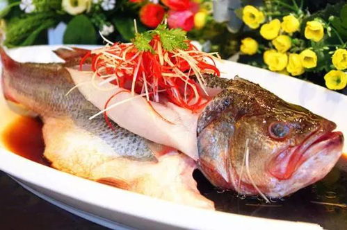 生命鲈鱼在哪个amibo