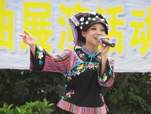 白歌，白歌白栀白洛凡是什么小说