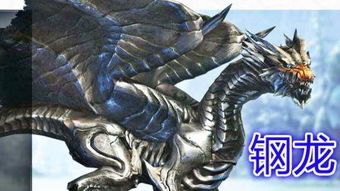 钢龙，钢龙宝可梦
