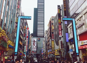 新宿的宿怎么读?