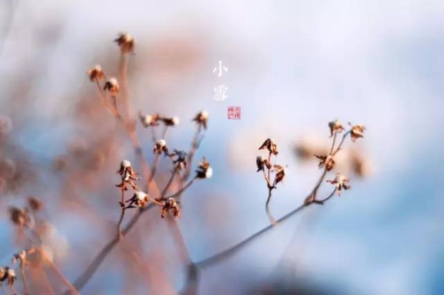 2021年小雪节气是在哪天?小雪节气三候指的是什么?