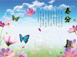 春分介绍，春分介绍英语