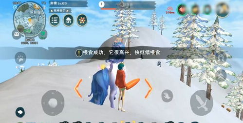 创造与魔法独角兽饲料，创造与魔法独角兽饲料怎么做