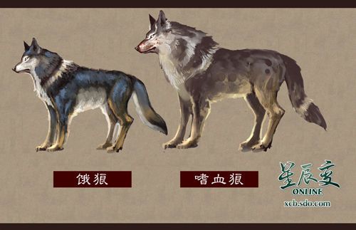 嗜血狼，嗜血狼纹身