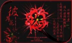 彼岸花的诅咒，彼岸花的诅咒是真的吗