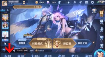 王者荣耀怎么看英雄战力详情
