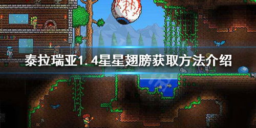 泰拉瑞亚翅膀，泰拉瑞亚翅膀合成表