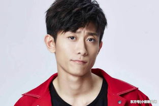 当红男明星，当红男明星小鲜肉