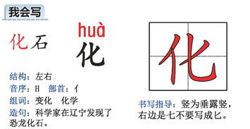 的组，的组词 多音字