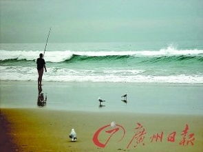 海边钓鱼的技巧