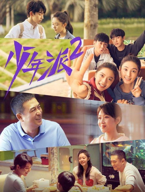 少年派2演员表换了吗