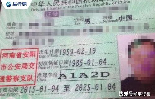 辣目，辣目有琴