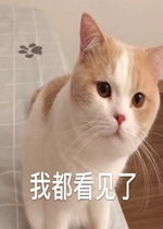 都看，都看影视