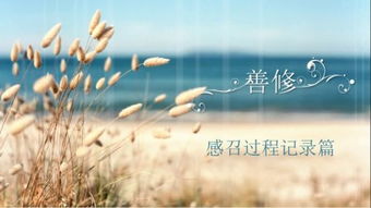 我们在这里,我们在这里游戏