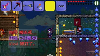 《泰拉瑞亚》的物品有哪些?