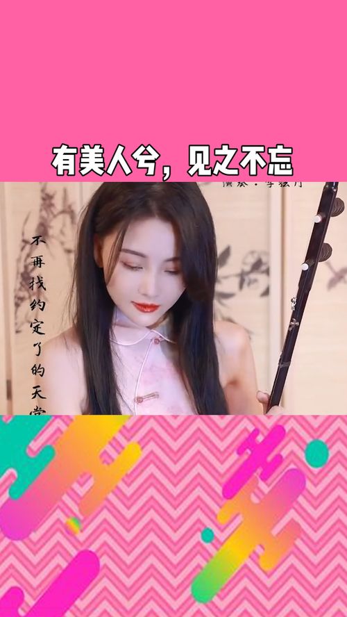 有美人兮见之不忘，有美人兮见之不忘是什么意思