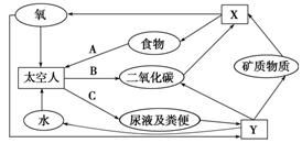什么是分解作用??(详细点)