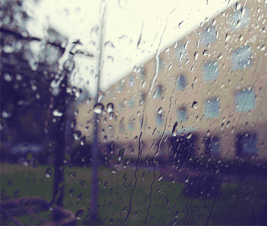 雨好像停了，雨好像停了是什么意思