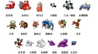 宠物小精灵的观看顺序