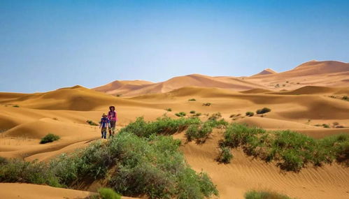 中国最大的农场是哪里啊?