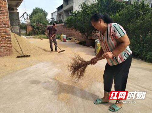 幸福村夫妻