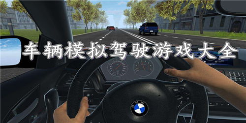 驾驶模拟游戏,驾驶模拟游戏推荐