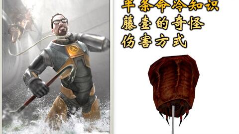 深海蛇难里面嗜血的植物叫什么