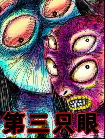第三只眼，第三只眼监控软件