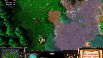 亡命寻宝，亡命寻宝免费观看