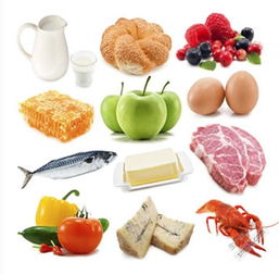 古代人类是怎样获取食物的