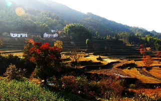 深村，深村小学