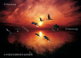 物换星移几度秋，物换星移几度秋什么意思